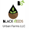Black Seeds Urban Farms