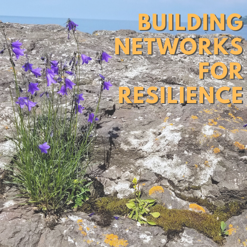 Building Networks for Resilience During COVID-19