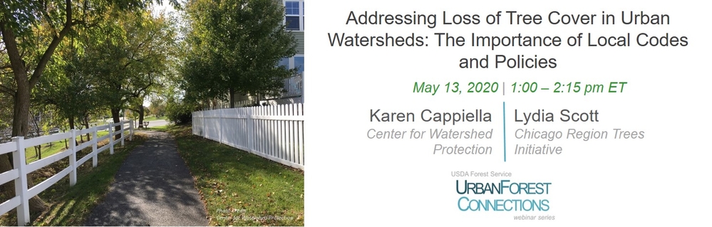 Addressing loss of tree cover in urban watersheds: The importance of local codes and policies