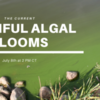 The Current Webinar: Harmful Algal Blooms