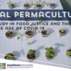 Social Permaculture: A Case Study