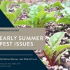 Early Summer Pest Issues