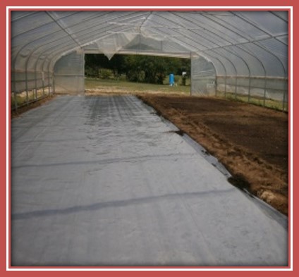 HOW TO SOLARIZE A TUNNEL/HOOP HOUSE