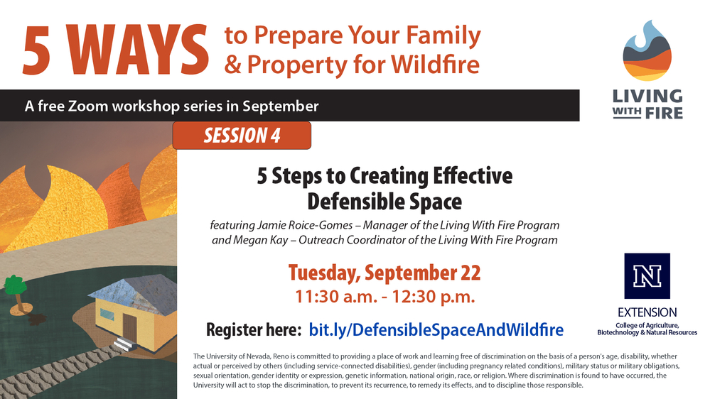 5 Steps to Creating Effective Defensible Space