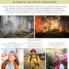 National Extension Wildland Fire Initiative - Quarterly Web Meeting