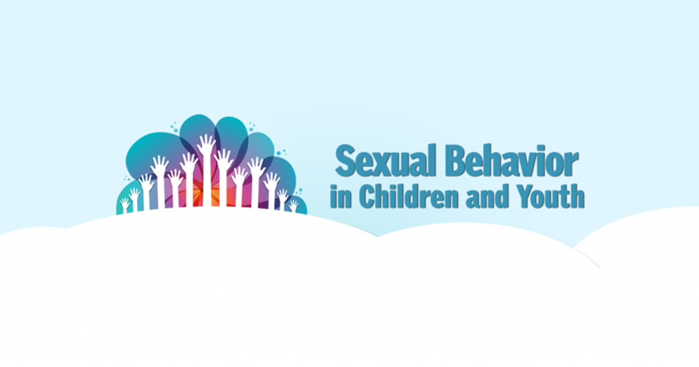Problematic Sexual Behavior: The Importance of a Multidisciplinary Evidence-Based Approach