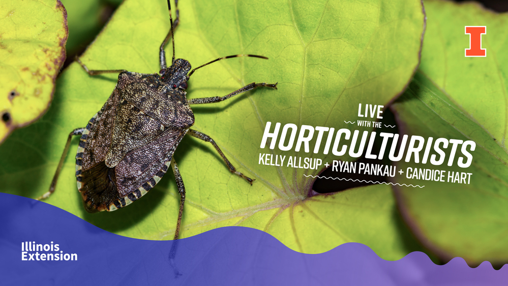 Spooky Bugs and More on LIVE with the Horticulturists