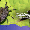 Spooky Bugs and More on LIVE with the Horticulturists