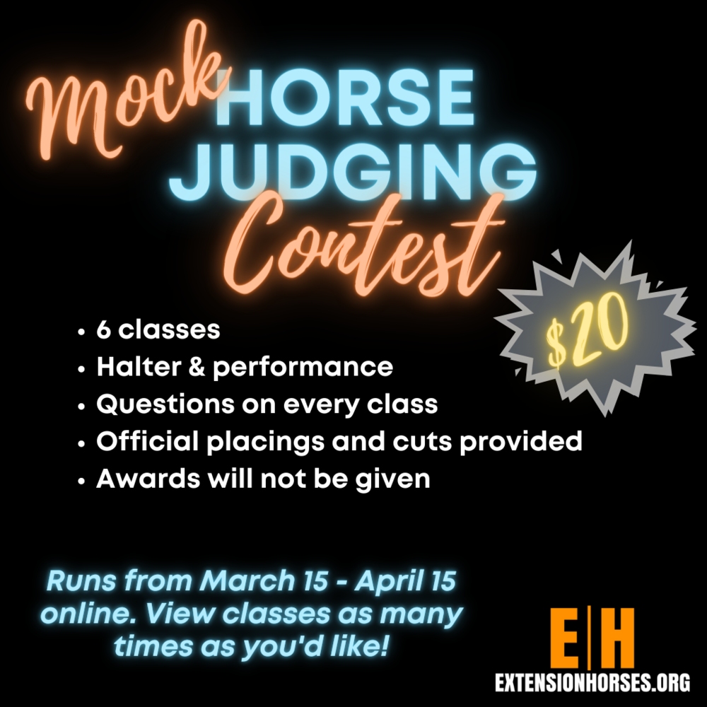 Mock Horse Judging contest
