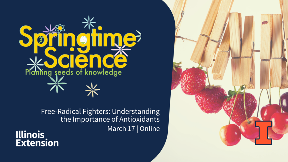 Free-Radical Fighters: Understanding the Importance of Antioxidants