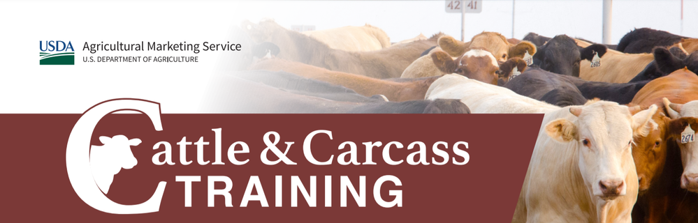 USDA Webinar: Livestock Mandatory Reporting, Part I: Utilizing Livestock Mandatory Reporting Live Cattle Reports