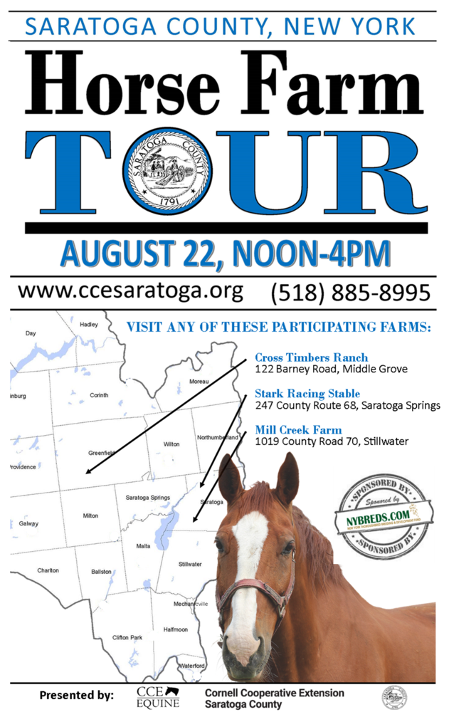 Horse Farm Tour