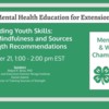 Youth Mental Health Education for Extension Series - Sources of Strength &amp; Dynamic Mindfulness Recommendations