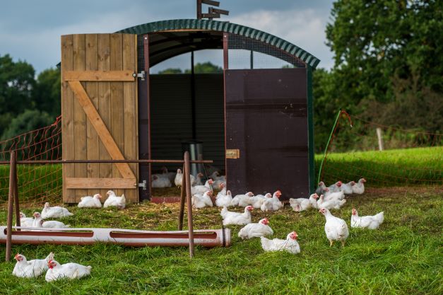Re-purposing existing structures for poultry production