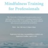 Mindfulness Training For Professionals
