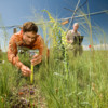 USDA-ARS and WSSA Weed Science Webinar (April 5 - June 7)