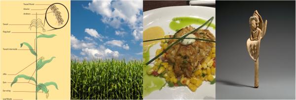 A Taste for Maize: More than Popcorn &amp; Corn on the Cob!