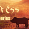 Livestock Heat Stress Webinar Series