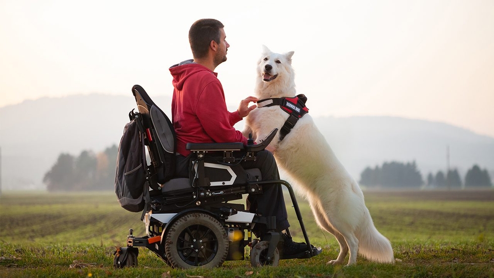 Service Animals: Rights &amp; Responsibilities