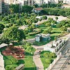 A State to Local Model for Producing Climate-Adapted Urban Trees