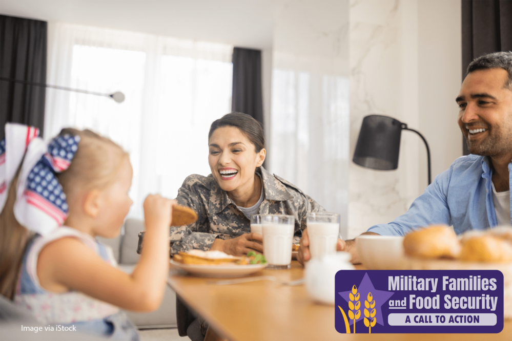 Supportive Programs and Benefits to Expand Food Security for Military Families
