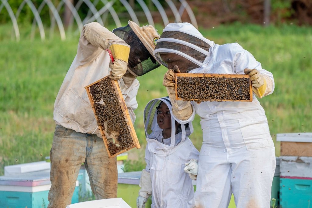 Adaptive Beekeeping for People with Disabilities and Veterans