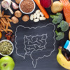 Diet Quality, The Gut Microbiome, and Health Disparities