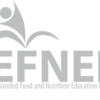 ENFEP Logo png grey