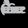 ENFEP Logo pdf grey