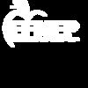 ENFEP Logo pdf white