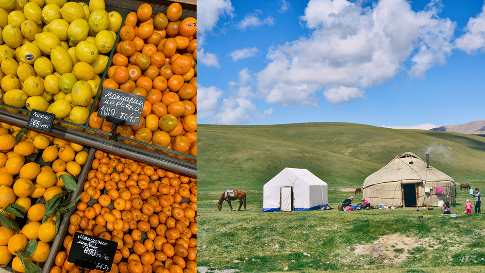 USDA Foreign Agricultural Service Spotlight on Kazakhstan and Kyrgyzstan